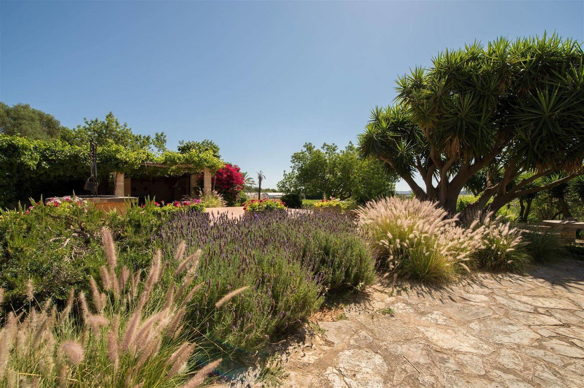 Hotel Rural Can Feliu Porreres Exterior photo